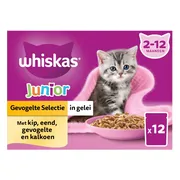 Whiskas Junior Multipack Gevogelte Selectie in Gelei 12 x 85 gr