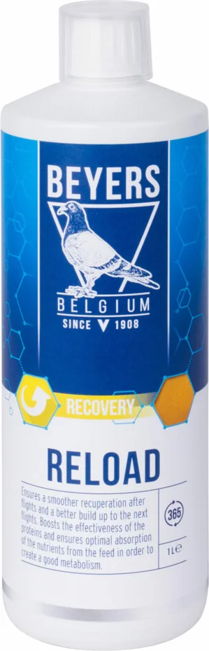 6x Beyers Reload 1 liter