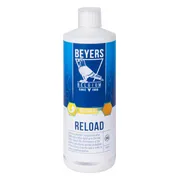 6x Beyers Reload 1 liter