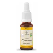 Lemon Pharma Bach NO.17 Hornbeam 20ML