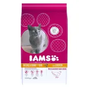 IAMS Kat Senior Kip 10 kg