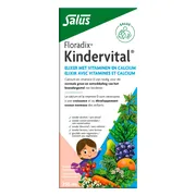 Salus Floradix Kindervital 250ML
