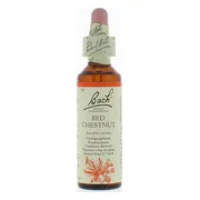 Bach Flower Remedies Rode Kastanje 25 20ML