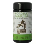 Aman Prana Kotobuki Matcha Puur Bio 40GR