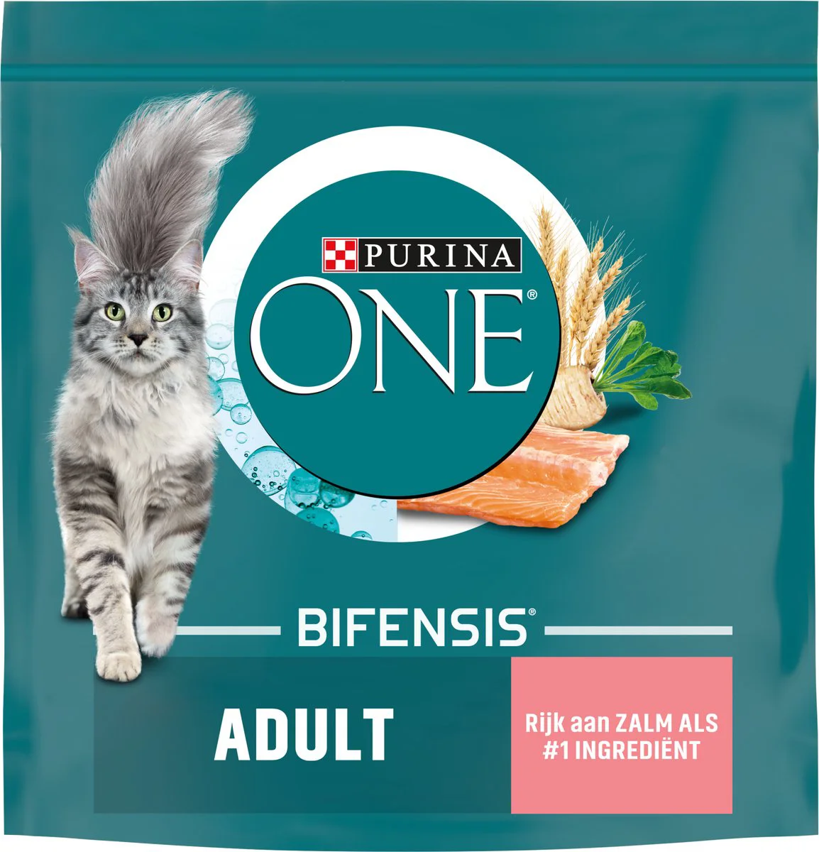 Purina ONE Kattenvoer Droog Adult Zalm - Volkoren Granen 800 gr