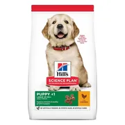 Hill's Canine Puppy Large Kip 2,5 kg