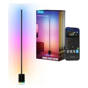 Govee Floor Lamp 2