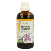 Physalis Epilobium Parviflorem Plantendruppels Bio 100ML