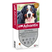 Advantix Spot On 600 Anti Vlooien en Teken Druppels Hond 40 - 60 kg 6 pipetten