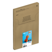 Epson 250 Combo Pack