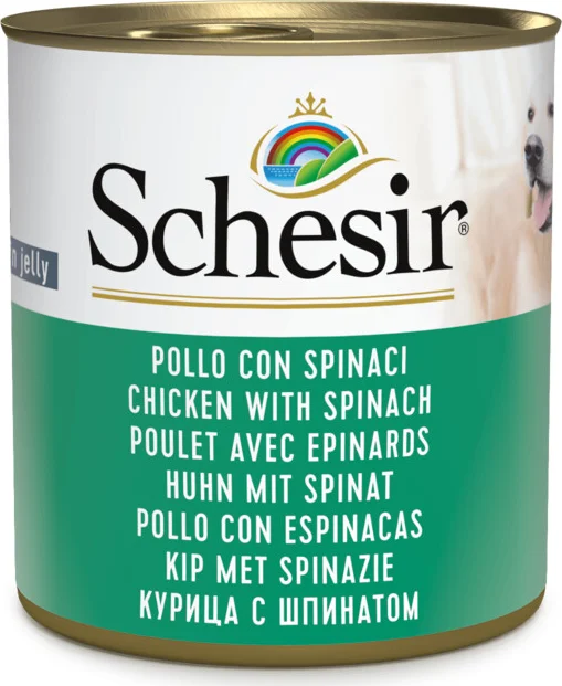 Schesir Hondenvoer Kip Spinazie in Gelei 285 gr
