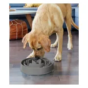 Outward Hound Dog Fun Feeder Drop Large Grijs 26 x 26 x 5 cm