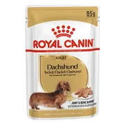 48x Royal Canin Dachshund Adult Hondenvoer Nat 85 gr
