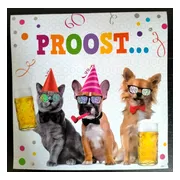Wenskaart - muziekkaart - pop-out wenskaart - kaart met licht - kaart met muziek - biertje - verjaardag - van harte gefeliciteerd - jarig - proost