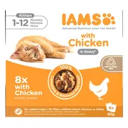 IAMS Delights Kitten Gravy Multipack Kip 8 x 85 gr