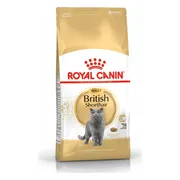 4x Royal Canin British Shorthair Kattenvoer 4 kg