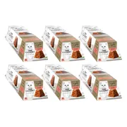 6x Gourmet Revelations Kattenvoer Nat Gelei Zalm 4 x 57 gr