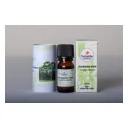 Volatile Eucalyptus Citrio 10ML