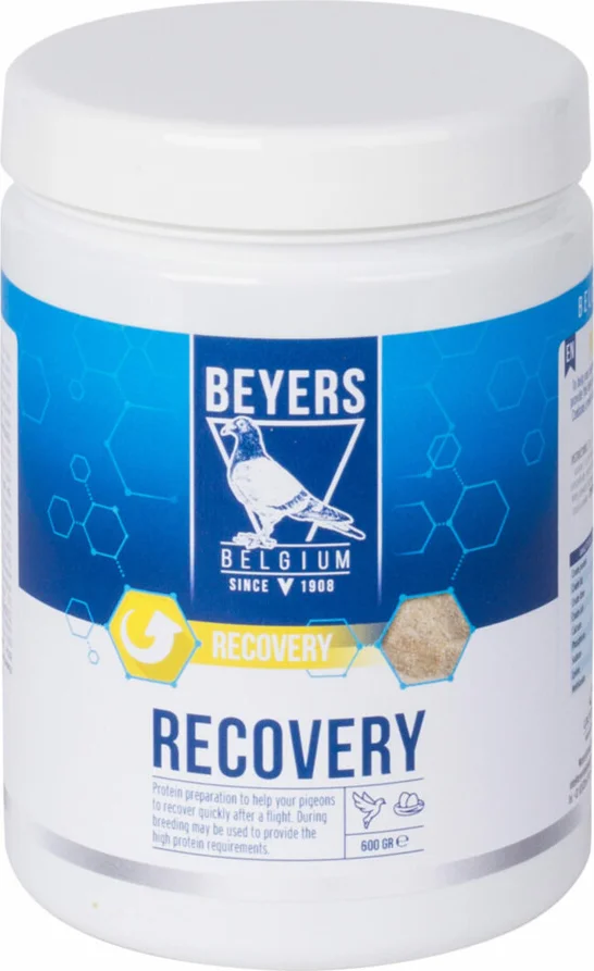 6x Beyers Recovery 600 gr