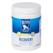 6x Beyers Recovery 600 gr