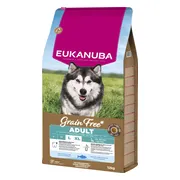 Eukanuba Hondenvoer Droog Adult Large Graanvrij Oceaanvis 12 kg