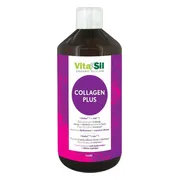 Vitasil Collagen Plus 500ML