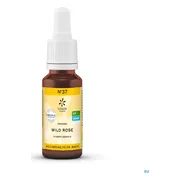 Lemon Pharma Bach NO.36 Wild Oat 20ML