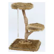 Boony Est 1941 Klimboom Prunus Grizzly Bruin 85 cm