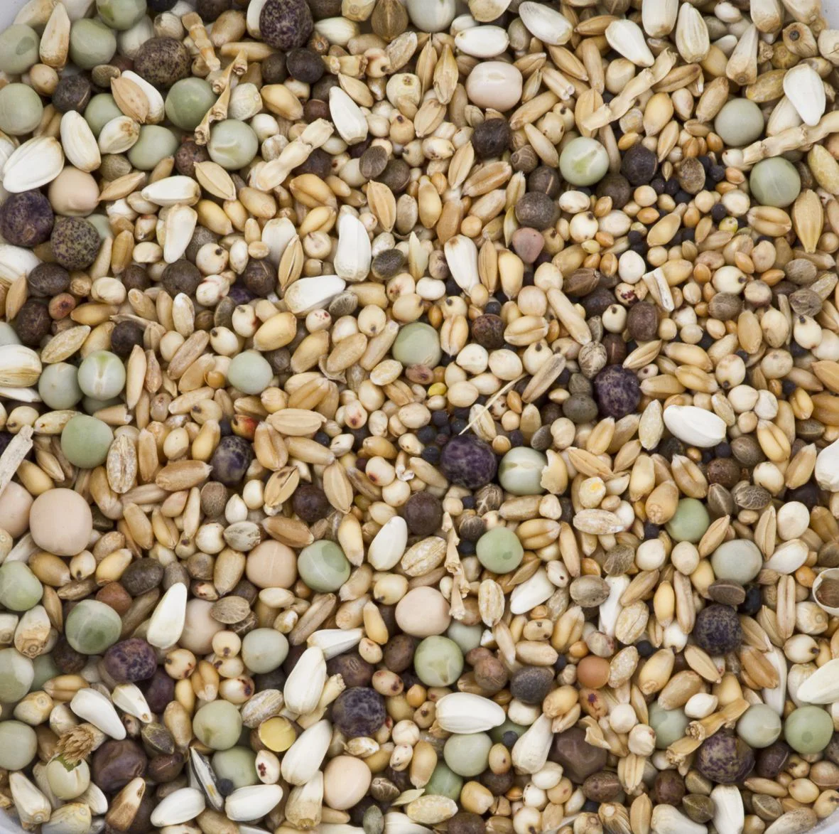 Deli Nature Dovix Zonder Maïs 20 kg
