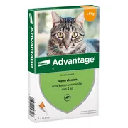 Advantage Anti Vlooiendruppels 40 Kat tot 4 kg 4 pipetten
