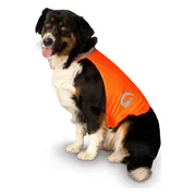 Nightwalk Dog Safety Vest Orange L