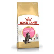Royal Canin Kattenvoer Droog Maine Coon Kitten 2 kg