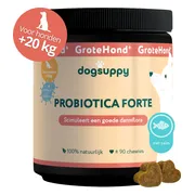 DogSuppy Grote Hond Probiotica Zalm 90 stuks