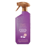 Bruynzeel Cosmetic Homecare Schimmel & Aanslagreiniger Powerspray 500ML