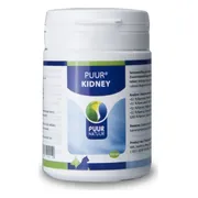 PUUR Kidney 300 tabletten