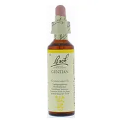Bach Flower Remedies Gentiaan 12 20ML