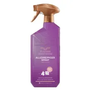 Bruynzeel Cosmetic Homecare Allesreiniger Spray Fresh Wood 500ML
