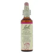 Bach Flower Remedies Vogelmelk 29 20ML