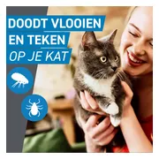 2x Frontline Spot On Anti Vlooien en Teken Druppels Kat vanaf 1 kg 3 pipetten