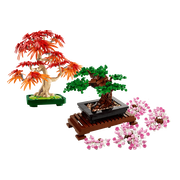 LEGO Bonsaiboompjes duo 10281 + 10348