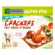 Damhert Gluten Free haver Crackers Lactose Free 230GR