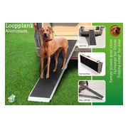 Boon Loopplank Aluminium Antislip - 183 cm - Max 100 kg