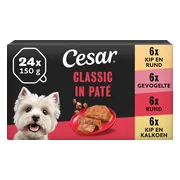 Cesar Alu Hondenvoer Multi-pack Kuipje Classic in Pate 24 x 150 gr