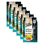 6x Sheba Adult Delices du Jour Kattenvoer Nat Kip & Kalkoen in Gelei 6 x 50 gr