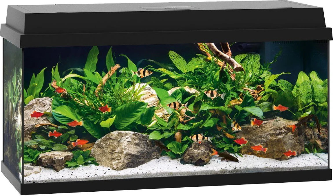 Juwel Primo 110 Aquarium - 81 x 36 x 45 cm - 110 L - Zwart