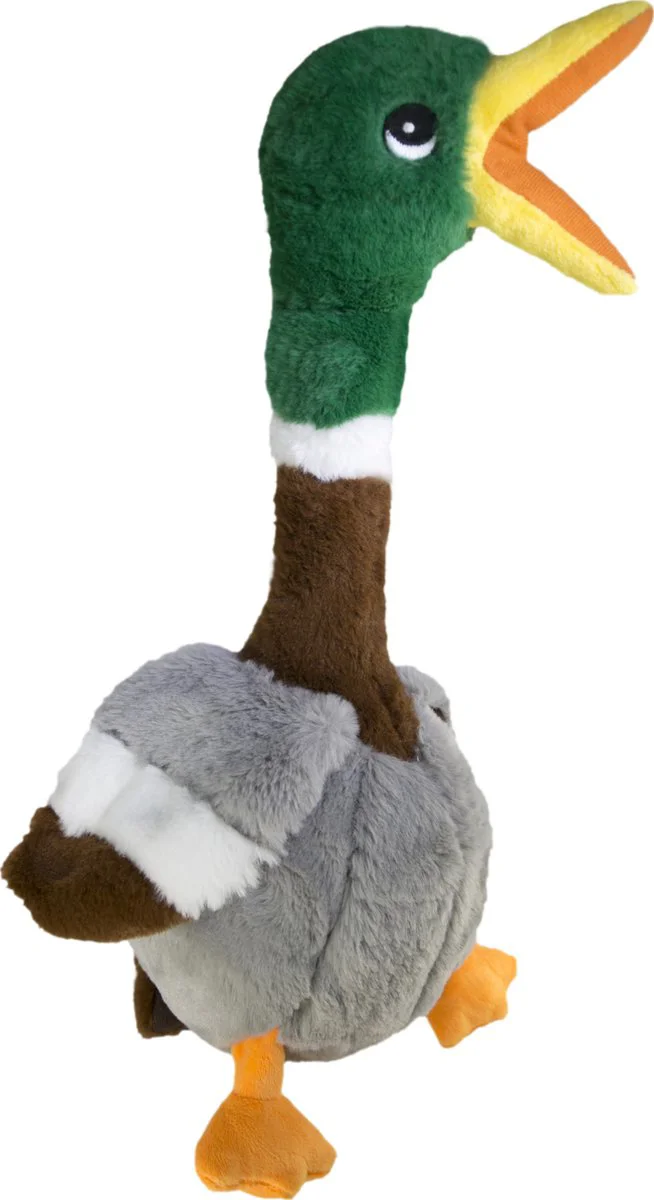 Kong Shakers Honkers Eend S