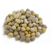 Jack Doggies Jack Jackers 750 gr