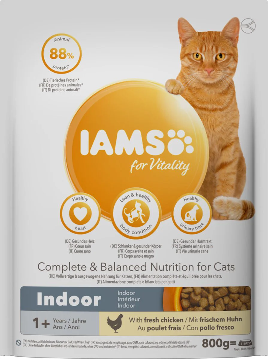IAMS Kat Adult Indoor Kip 800 gr