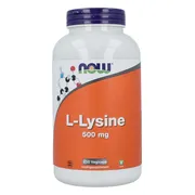 Now L Lysine 500mg Capsules 250VCP