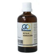 GO Gemmo Oplossingen Betula Verrucosa Bio Tinctuur 100ML